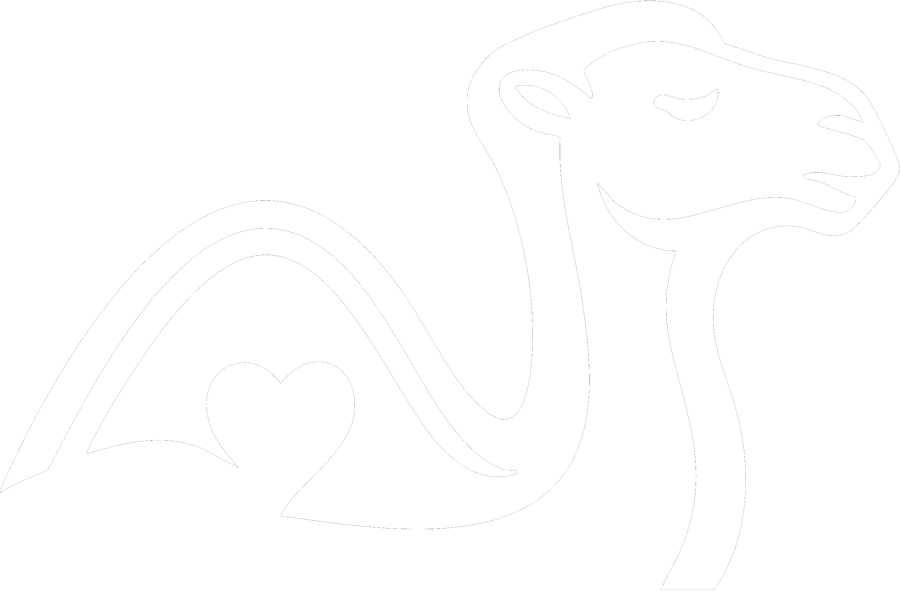 Creative Camel Studio